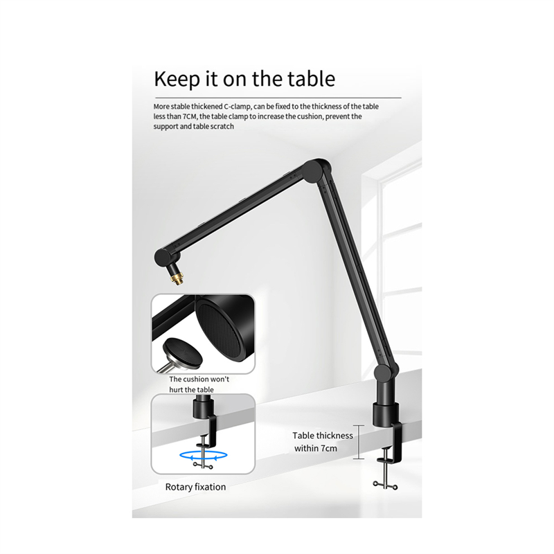 Supporto per Microfono Regolab - Microphone Arm Boom recensione e prezzo