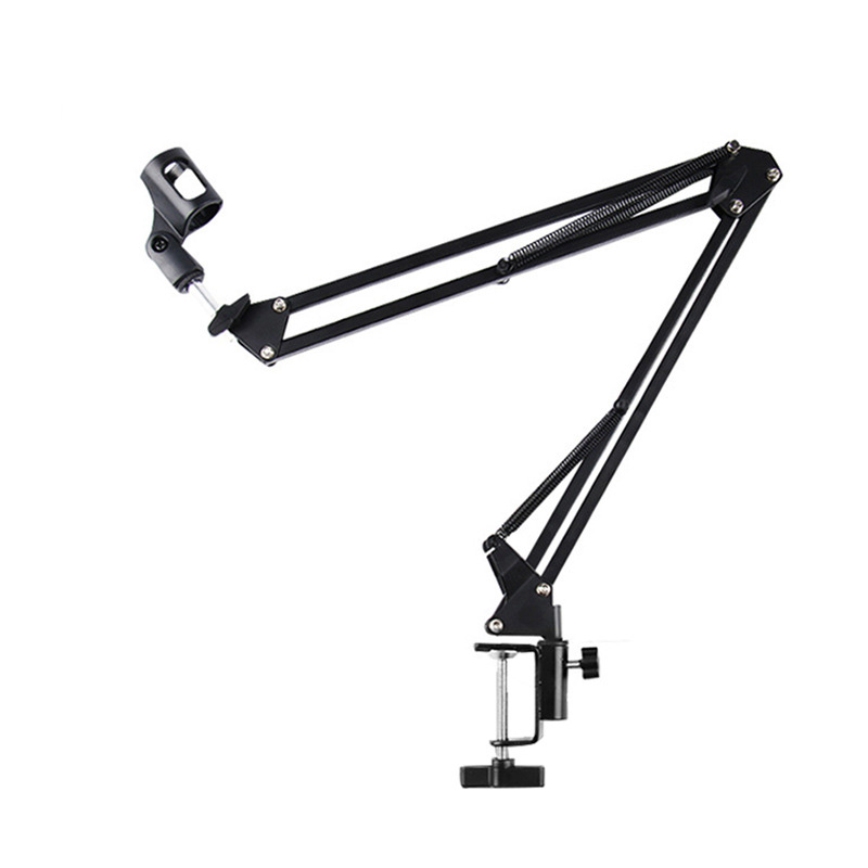 Supporto per Microfono Regolab - Microphone Arm Boom recensione e prezzo